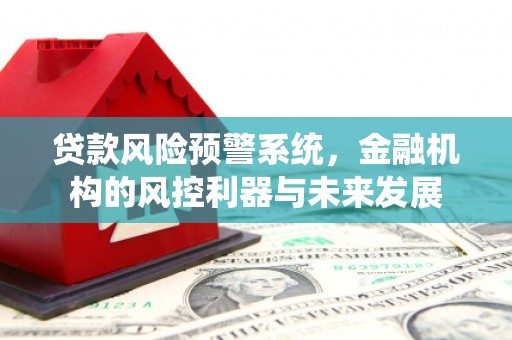 沧县贷款风险预警系统，金融机构的风控利器与未来发展