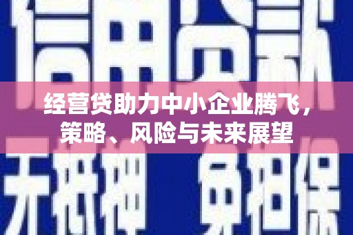 沧县经营贷助力中小企业腾飞，策略、风险与未来展望