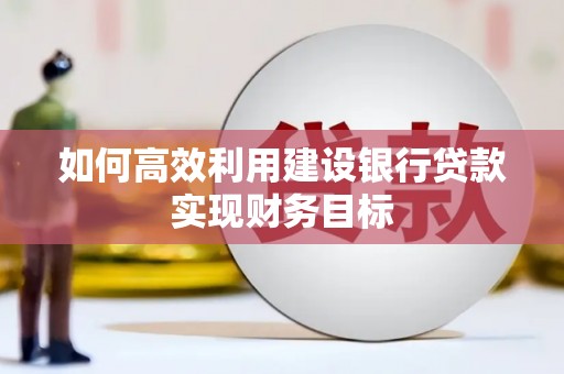 沧县如何高效利用建设银行贷款实现财务目标