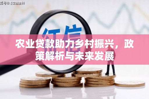 沧县农业贷款助力乡村振兴，政策解析与未来发展