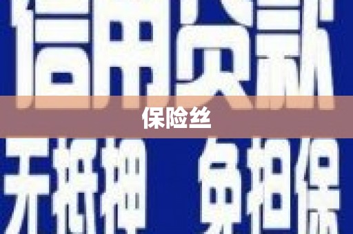 沧县保险丝