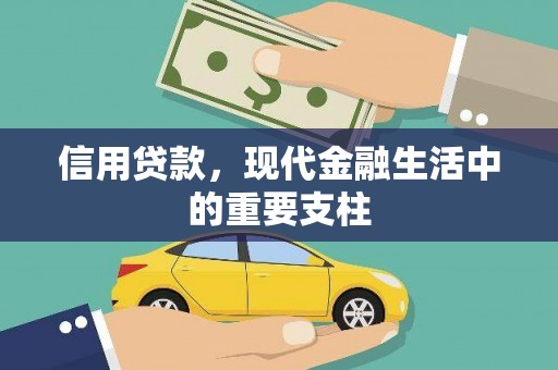 沧县信用贷款，现代金融生活中的重要支柱