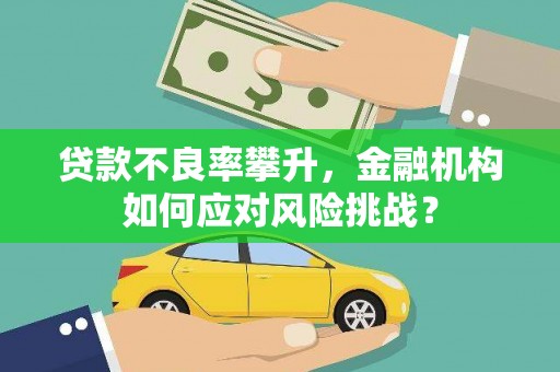 沧县贷款不良率攀升，金融机构如何应对风险挑战？