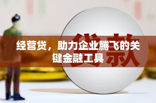 沧县经营贷，助力企业腾飞的关键金融工具