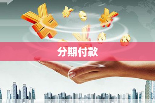 沧县分期付款