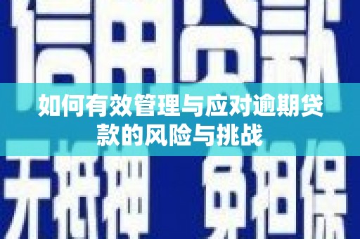 沧县如何有效管理与应对逾期贷款的风险与挑战