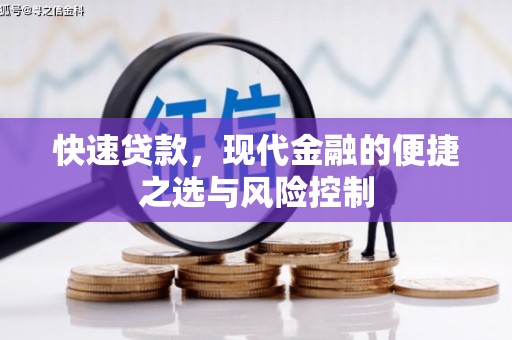沧县快速贷款，现代金融的便捷之选与风险控制