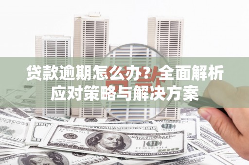 沧县贷款逾期怎么办？全面解析应对策略与解决方案