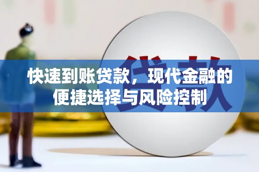 沧县快速到账贷款，现代金融的便捷选择与风险控制