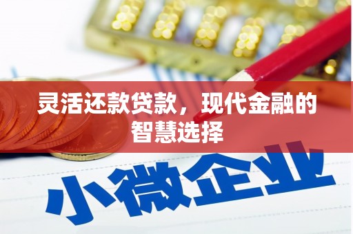 沧县灵活还款贷款，现代金融的智慧选择