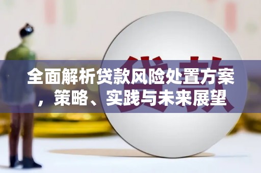 沧县全面解析贷款风险处置方案，策略、实践与未来展望