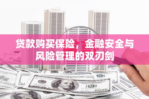 沧县贷款购买保险，金融安全与风险管理的双刃剑