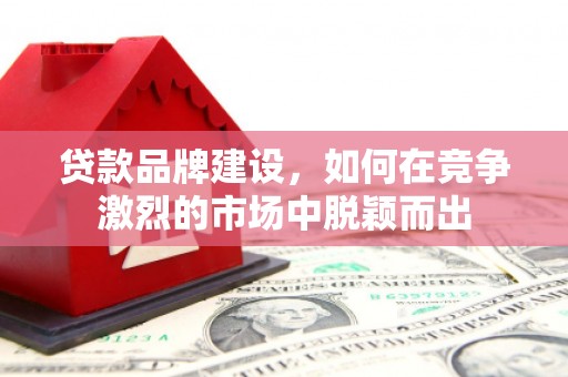 沧县贷款品牌建设，如何在竞争激烈的市场中脱颖而出