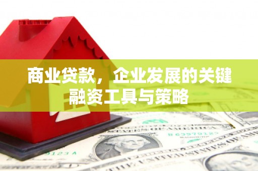 沧县商业贷款，企业发展的关键融资工具与策略