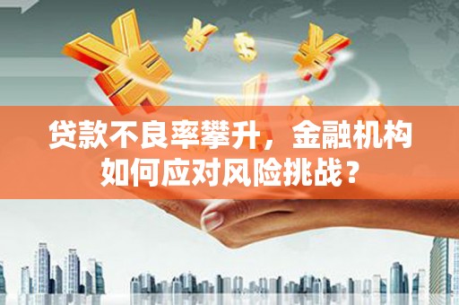 沧县贷款不良率攀升，金融机构如何应对风险挑战？