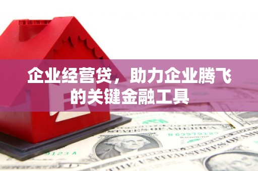 沧县企业经营贷，助力企业腾飞的关键金融工具