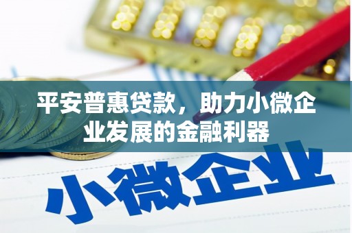 沧县平安普惠贷款，助力小微企业发展的金融利器