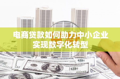 沧县电商贷款如何助力中小企业实现数字化转型