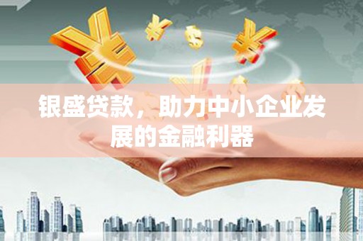 沧县银盛贷款，助力中小企业发展的金融利器