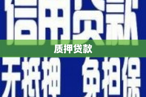 沧县质押贷款