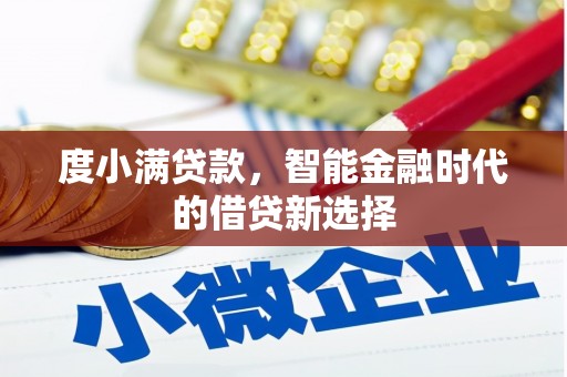 沧县度小满贷款，智能金融时代的借贷新选择