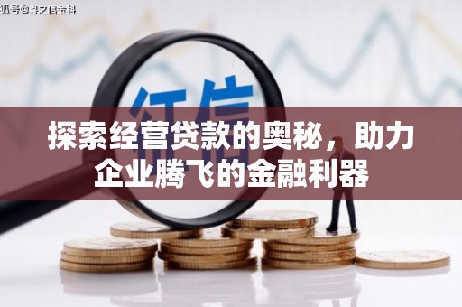 沧县探索经营贷款的奥秘，助力企业腾飞的金融利器