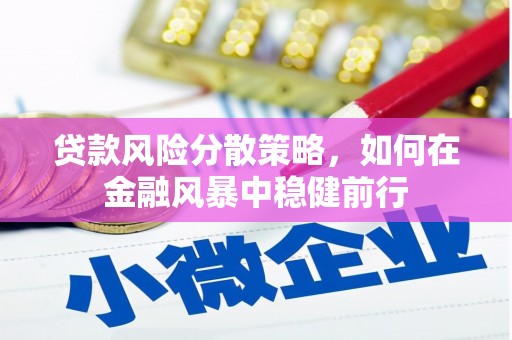 沧县贷款风险分散策略，如何在金融风暴中稳健前行