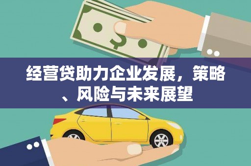 沧县经营贷助力企业发展，策略、风险与未来展望