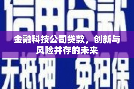 沧县金融科技公司贷款，创新与风险并存的未来