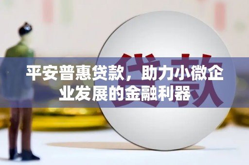 沧县平安普惠贷款，助力小微企业发展的金融利器