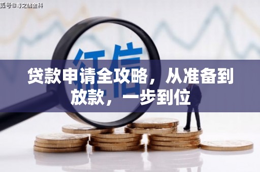 沧县贷款申请全攻略，从准备到放款，一步到位
