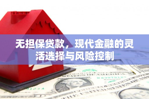 沧县无担保贷款，现代金融的灵活选择与风险控制