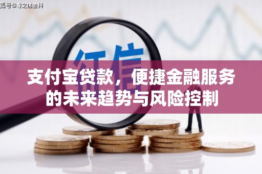 沧县支付宝贷款，便捷金融服务的未来趋势与风险控制