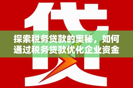 沧县探索税务贷款的奥秘，如何通过税务贷款优化企业资金流