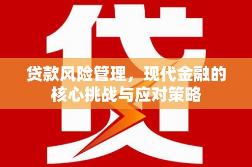 沧县贷款风险管理，现代金融的核心挑战与应对策略