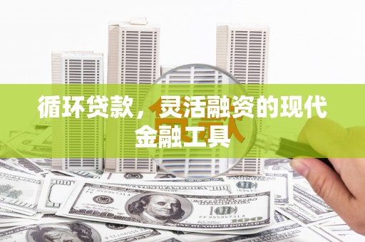 沧县循环贷款，灵活融资的现代金融工具