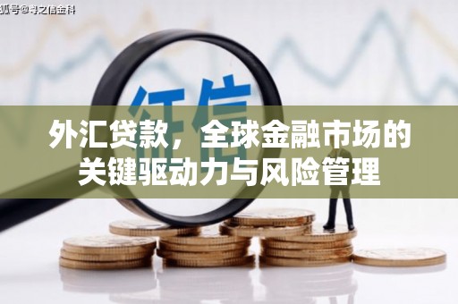 沧县外汇贷款，全球金融市场的关键驱动力与风险管理