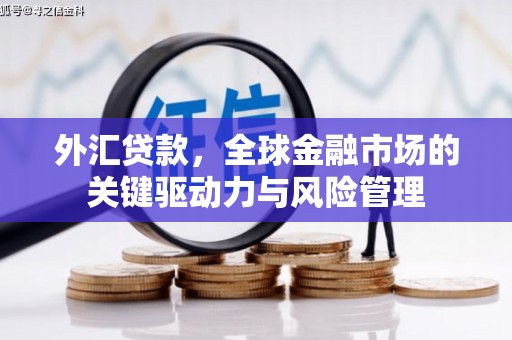 沧县外汇贷款，全球金融市场的关键驱动力与风险管理