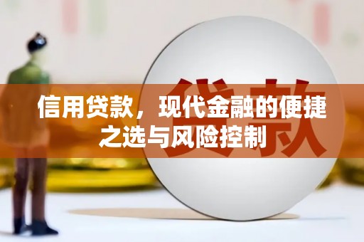 沧县信用贷款，现代金融的便捷之选与风险控制