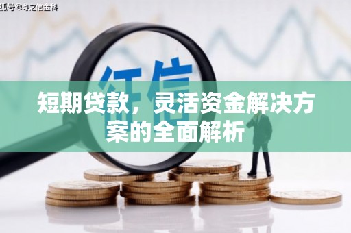 沧县短期贷款，灵活资金解决方案的全面解析