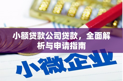 沧县小额贷款公司贷款，全面解析与申请指南