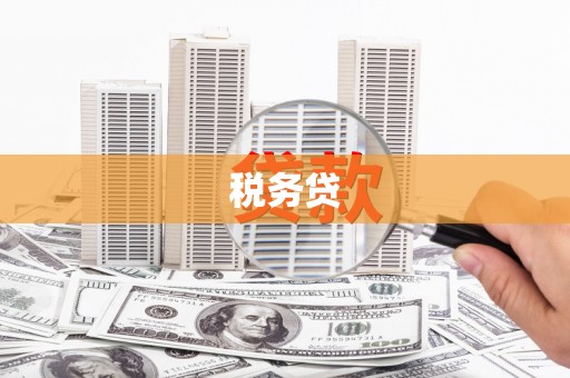 沧县税务贷