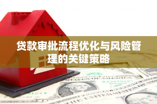 沧县贷款审批流程优化与风险管理的关键策略