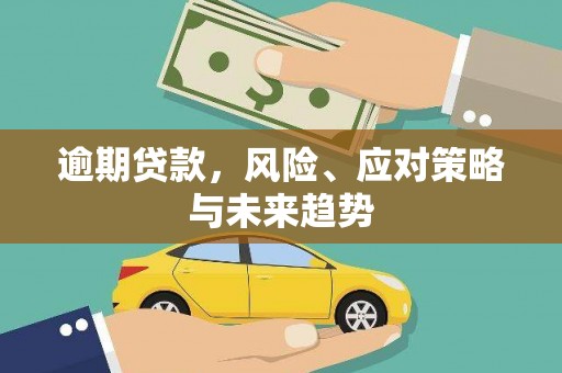 沧县逾期贷款，风险、应对策略与未来趋势