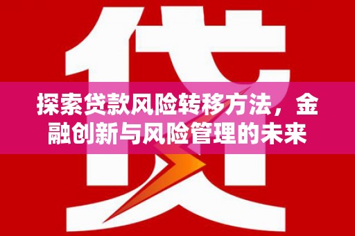 沧县探索贷款风险转移方法，金融创新与风险管理的未来