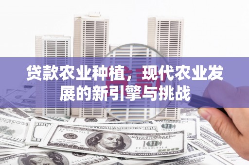 沧县贷款农业种植，现代农业发展的新引擎与挑战