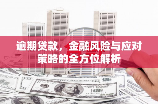 沧县逾期贷款，金融风险与应对策略的全方位解析