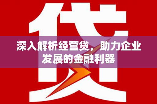 沧县深入解析经营贷，助力企业发展的金融利器