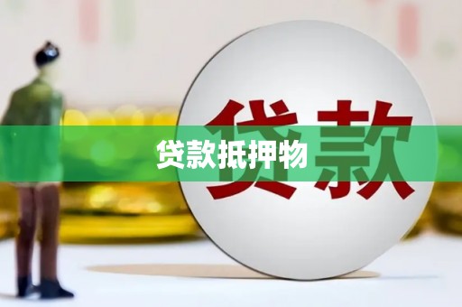 沧县贷款抵押物