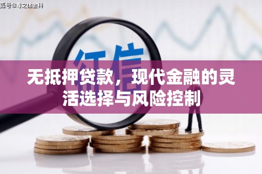 沧县无抵押贷款，现代金融的灵活选择与风险控制